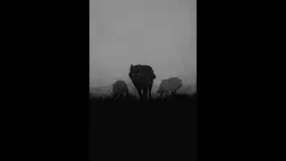(FREE) Future x Drake Type Beat (HARD) - 