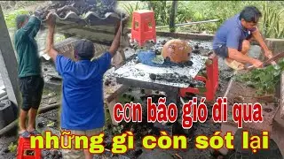 Ức cá basa kho mắm. Nhúng với rau muống đồng. Tép đất chiên bột. Gối với rau rừng.....