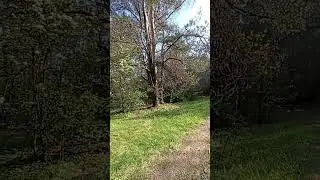 Мне этот мир настолько понятен #shots