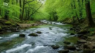 Calm Night River Sounds for Deep Sleep and Mental Relaxation | Soft Water Ambience