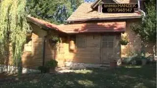 Kladeščica u srcu