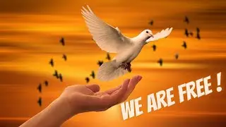 Liberty Music, We are free
