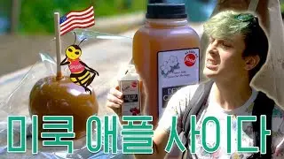 unBEElievable Michigan Cider | NyamNyeo + U.S.'s Best Food | Michigan (USA) Food Guide