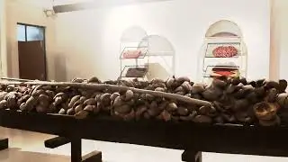 kerala musuem 👍🏼watch full video 💐🥳#musuem #vlog #viral #like #subscribe #kerala