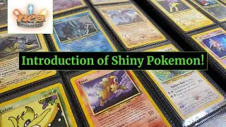 Полный набор Neo Revelation | Витрина карт Pok&eacute;mon