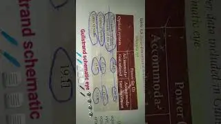 gullstrand schematic eye 📄📄📄🖊️👁️👁️👁️👁️🖋️🖋️
