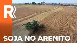 Produtor aposta no arenito palha para alta produtividade da soja