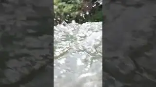 Surviving the Unexpected: A Near-Death Experience in the River #fishing #new #shorts