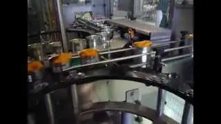 Half Peach Processing Line