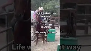 People often ask me how I find the courage to do the things I do