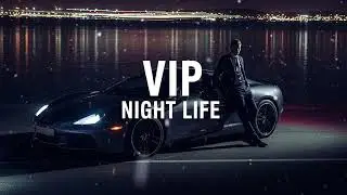 VIP NIGHT LIFE MUSIC VOL. 2