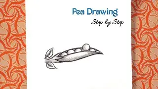 Pea Drawing ll How To Draw Pea ll Matar Drawing Easy #shorts #drawing #klakipathshala