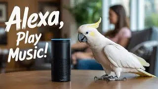 Parrot Starts a Party at 3AM & Chaos Begins