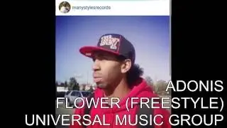 ADONIS - FLOWER