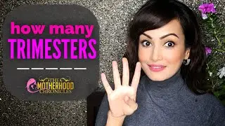 TRIMESTERS  | How many Trimesters in PREGNANCY | Chapter 11 | The Motherhood Chronicles