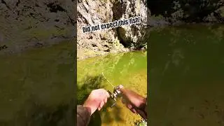 Wandering deep into nowhere&hellip;Tiny stream, crystal water, BFS setup and boom&hellip;Did not expect that bite!