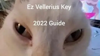 Best/Fastest Method To Get Vellerius Key & Bypass AVG (Walkthrough)