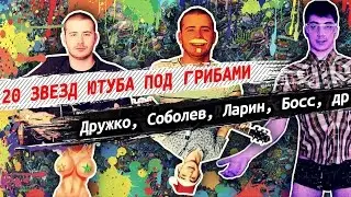 ДРУЖКО, ЛАРИН, СОБОЛЕВ И ДР l ПОД ГРИБАМИ   20 ЗВЕЗД ЗА 70 СЕК
