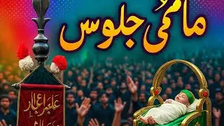 Budhla Bahar Ranipur | Muharram Azadari Procession | Matami Juloos 2025