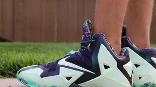 Nike LeBron 11 Gator King ASG - On Foot