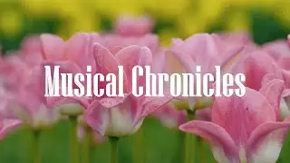 Tulip fields | No Copyright Music