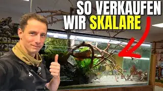Aquarien Update aus der Aquaristik Lounge