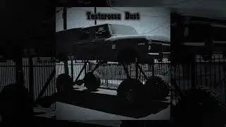 INEXWAVE - Testarossa Dust