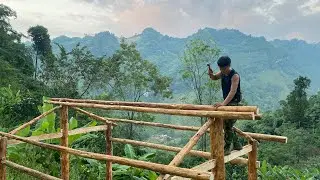 Trieu Kang&rsquo;s Journey | Continuing to Build a House Deep in the Mysterious Forest