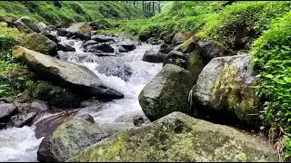 ASMR River Symphony: Water Sounds to Erase Stress and Insomnia | LuLu Sounds