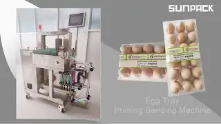Sunpack WK04CA-50MPR egg tray banding machine joanna@xutian-china.com