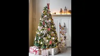 JOYEUSES FÊTES  Avec Prophète Jimmy  Nzuzi Mwimba, #viral (Partie 2)