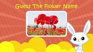 Can You Guess the Flower with Hints? 🌹 | How Many Can You Name? (Fun Challenge)