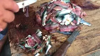 O Galão de Vila Franca Do Campo!!! Our Daily Vlog 7/7-10/2018