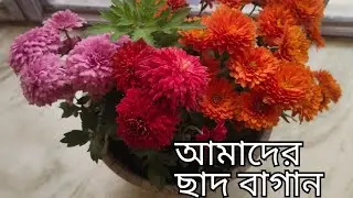 আমাদের ছাদ বাগান 🥰😁।। Roof top gardern 