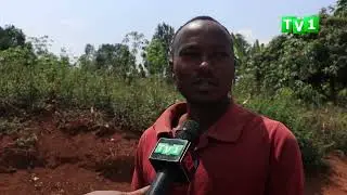 GASABO-NDERA: HARI ABATURAGE B&rsquo;I GASOGI BABANGAMIWE NO KUTAGIRA IHUZANZIRA RYA TELEFONE