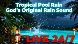 🔴 LIVE 24/7 🌧️ Pure TROPICAL POOL HEAVY RAIN  &mdash; God's Original Rain Sound