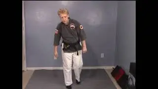 Tracy Kenpo Karate Yellow Belt Lesson 2