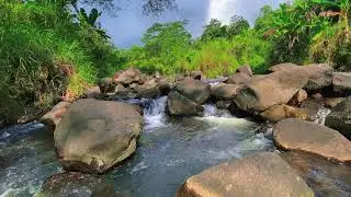 Relaxing Water Flow &ndash; 10 Hours of River ASMR for Stress and Focus Balance