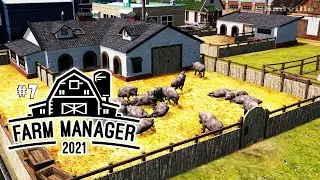 Первый взгляд||Farm Manager 2021