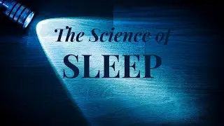 Sleep Strategies for Law Enforcement