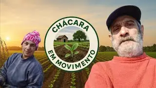 Vida Na CHÁCARA