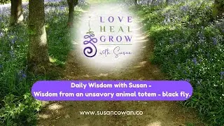 Wisdom from an unsavory animal totem - black fly.