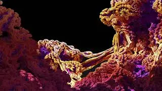 Fractalis 4k HD
