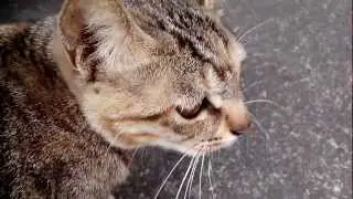 H9500 (MTK6577) HD 1280*720 Video Test