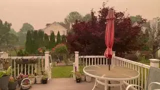 No talk Smoky Garden Tour | Canadian wildfire | Goldfinch Bird watching | Backyard Garden Highlights