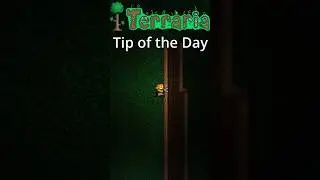Terraria Tip of the Day: Trash Extraction Edition
