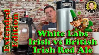 Irish Red Ale with Rye and Toasted Caraway seeds Extended Edition - Taste Test