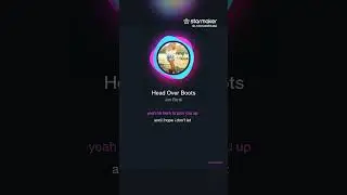 Head over boots cover