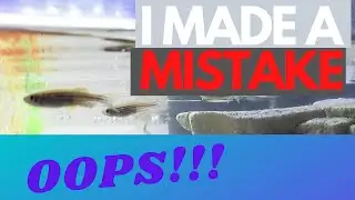 TURTLE TANK | I MADE A MISTAKE!