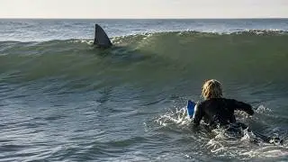 Most Horrific Shark Attacks in Australia 2026